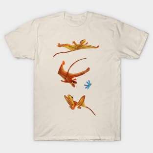 Flight of the Sharovipteryx T-Shirt